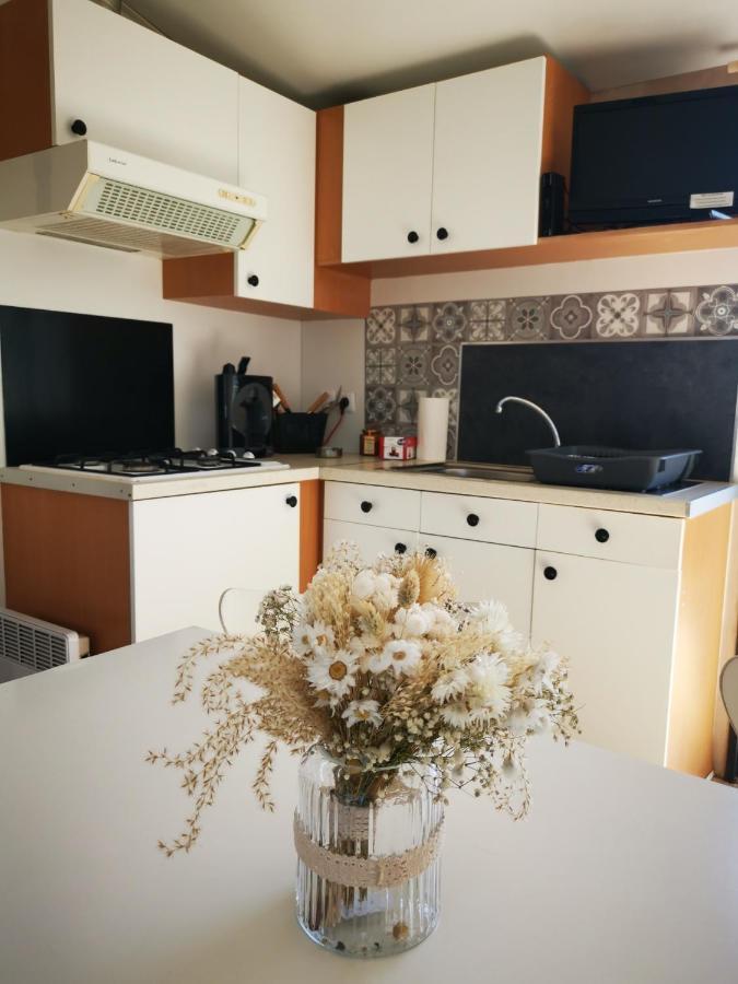 Cocoon Mobil Home 圣艾格夫 外观 照片